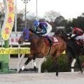 ラッキードリームが浦和から１戦で岩手競馬に移籍　野田善己オーナー「少しでも長く競走馬として輝ける道を選びたい」
