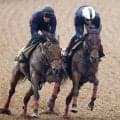 【ヴィクトリアＭ・１週前】エンブロイダリー超抜の伸び４馬身先着