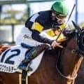 フランケル×レッツゴードンキの超良血 アスクヴォルテージが初の芝1200mで1年ぶり勝利なるか