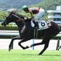 【京都新聞杯枠順確定】ベレシートは8枠15番、エムズビギンは1枠2番