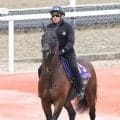 【ＮＨＫマイルＣ・金曜気配】ローベルクランツは４枠８番　小林調教師「マイルは気性的に競馬がしやすい」