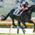 【京都新聞杯予想】重賞連対の前走も信頼しすぎ禁物!? 過去傾向から不安な人気馬