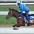 【NHKマイルC／追い切り診断】ロデオドライブを超える「S」の最高評価　「今が伸び盛り」勢いがそのまま本番へ直結しそうな好気配