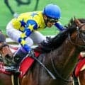 【新潟大賞典想定馬・騎手】シュガークン、ドゥラドーレスなど13頭