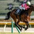 【エプソムC予想】テンから流れるレースは大型馬に不向き!? 臨戦過程も気になる有力馬とは