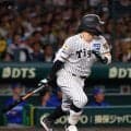 【阪神】「さとうて」が２戦ぶり安打　恒例「こどもまつり」で大敗に「負けは負けなので」