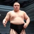安青錦　自身初の休場決定　負け越しなら関脇転落...途中出場目指す方針　安治川親方「痛みが引けば」　綱とり逃した春場所から試練続く