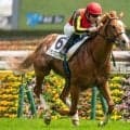 名牝グランアレグリアの初仔 グランマエストロが惜敗続きにピリオドを打つか
