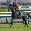 【エプソムC予想】サマー2000シリーズを見据える一戦 東京1800mで実力馬が火花