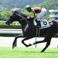 【京都新聞杯予想】ダービーへ飛躍狙う実力馬集結 京都外回りで真価問う一戦