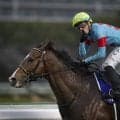 【競馬予想】NHKマイルＣで２歳王者カヴァレリッツォの巻き返しはあるか？　「同馬には弱点がある」
