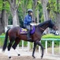 【ＮＨＫマイルＣ・土曜気配】オルネーロは張りのある馬体が目を引く　宮田調教師も太鼓判「体つきは過去イチくらい」