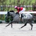 京都１ＲでオウケンブラッドがＶ　ＪＲＡでの競走馬登録１頭のみのオウケンワールド産駒が初勝利　オーナーサイドの執念実る
