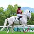 白毛馬ジャジャミンの初陣は１４着　今村聖奈騎手「これからも一緒に頑張っていけたら」　全姉は同じ白毛のゴージャス