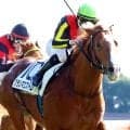 超良血馬が６戦目でも勝てずファン落胆「前が壁か〜」「ダートでみたい」　一口５００万円のグランマエストロは４着