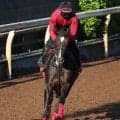 土曜京都競馬場の注目激走馬…京都１１Ｒ京都新聞杯・Ｇ２