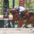 「Ｇ１を勝ったみたい」Ｍデムーロ騎手が京都７Ｒでアメリカから帰国後初Ｖ　国内では約５か月ぶりの勝利