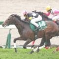 【競馬予想】NHKマイルＣの狙い目を血統でチェック　年明けデビュー馬の無傷の３連勝はある？