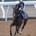 土曜東京競馬場の注目激走馬…東京１１Ｒエプソムカップ・Ｇ３