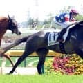 【東京６Ｒ・３歳１勝クラス】リッツパーティーが鮮やかに抜けだし勝利　オープン入りに横山武史騎手「先々が楽しみです」
