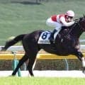 「バグやろ」「当たったゾ～～～～！」「大勝利」ガチガチの決着にネット投げやり発言！？　東京８Ｒで３連複１８０円　