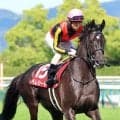 【京都新聞杯】最後に差された...クロノジェネシス初子ベレシートは２着　これまでと打って変わり先団から競馬も白星つかめず