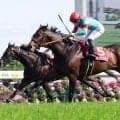 【京都新聞杯】コントレイル産駒のコンジェスタスが差し切って無傷３連勝　断然人気ベレシートを２着に下す