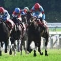 【JRA・WIN5】本日のWIN5は的中186票、配当187万4760円