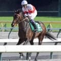 【エプソムＣ】武豊騎手騎乗の４番人気サブマリーナは末脚不発で１１着　重賞初制覇ならず「あまり速い上がりのレースは苦手かな」