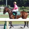 【エプソムＣ】１番人気の素質馬サクラファレルは５着　レーン騎手「最初はリズムが良かったけど...」