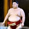 新十両の大花竜　本場所仕様の『海老茶色』の締め込みをお披露目「赤が好きなので、赤色にしたいと」…初日の１０日へ最終調整