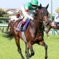 【注目馬動向】皐月賞１４着のパントルナイーフは日本ダービーで巻き返しへ　キャロットクラブが発表