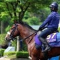 【ＮＨＫマイルＣ・土曜気配】２歳王者カヴァレリッツォが現地入り　渋滞に巻き込まれるも陣営「恥ずかしい競馬をしないように」