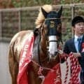 【NHKマイルC前日オッズ】ダイヤモンドノットが4.2倍で1番人気