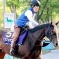【ＮＨＫマイルＣ・土曜気配】アスクイキゴミが決戦の地に到着　新馬戦以来の関東輸送も陣営「カイバも完食して落ち着いている」