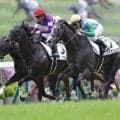 【京都5R】ウインブライト産駒 コルテオソレイユが競り勝つ、人気に応えるV