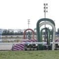 【京都8R】伏兵ローマンレイクが波乱演出…3連単163万円超の波乱