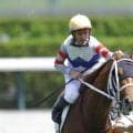 【京都7R】M.デムーロ騎手が日本帰国後初勝利…テンエースワンで鮮やか抜け出し