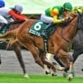 霜降り明星・粗品はエコロアルバを信頼 NHKマイルCは3連単＆3連複で勝負だ