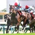【京都新聞杯】コンジェスタスがレースレコードで重賞初制覇　ダービー“最終切符”つかんだ　スターアニスで牝馬２冠を目指す高野厩舎から牡馬でもスター候補誕生