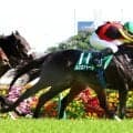 【エプソムＣ】トロヴァトーレが重賞連勝　極上の末脚に鹿戸調教師「安田記念を視野に入れたい」