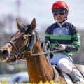前走は10馬身差の大楽勝 ミスターキャンベラが2連勝狙う