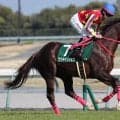 【競馬予想】NHKマイルＣは今年も100万馬券が飛び出すか!?　穴党記者推奨の「高配当の使者」２頭