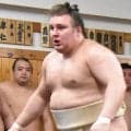 初日から休場のカド番・安青錦の診断書が公表　「左足関節捻挫…５月場所の休場を要する」