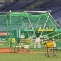 【日本ハム】新庄剛志監督、ダイナミックな構え健在　ケージに入り“打撃練習”
