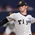 阪神　球団史上初の連覇へ試練　チームに相次ぐ故障禍　腰部疲労骨折のルーカスで７人目　先発陣では伊藤将、伊原の左腕が離脱