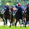 ＮＨＫマイルＣ当日の東京競馬場の芝は３、４コーナーで内の傷み目立つ　ルメール騎手「直線は変わらない」