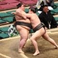 大相撲“史上最強の新弟子”旭富士が無敗街道を継続、押し込まれるも冷静に対処に相手「さらに重くなった」