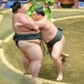 横綱のしこ名を継ぐ旭富士、序ノ口デビューから１５連勝　三段目で体重２１０キロの相手を寄り切る