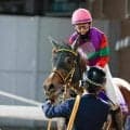 【川崎・エンプレス杯枠順】上半期のダート女王決定戦は8頭立て 連覇狙うテンカジョウは6枠6番